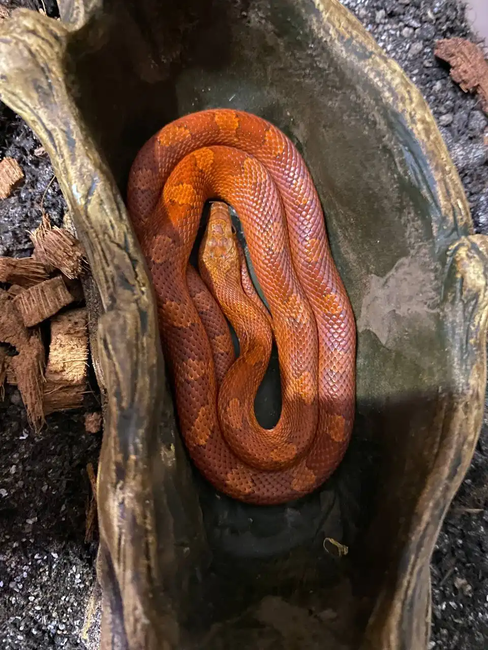 Продажа барахолки в Оренбурге - Барахолка в Оренбург