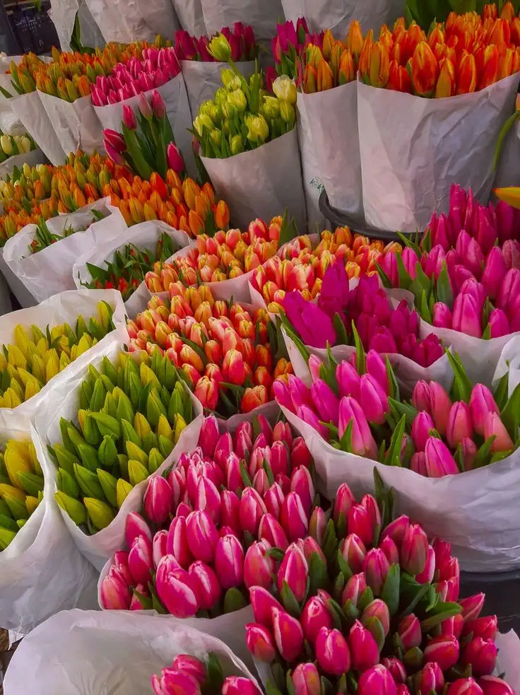 Тюльпаны к 8 марта с доставкой - Цветы (Барахолка) в Оренбург