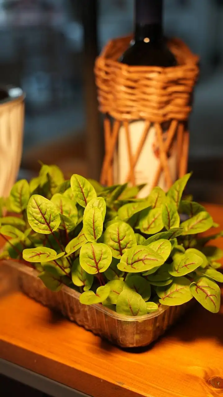 Бонус при заказе лотков в Оренбурге - Барахолка в Оренбург