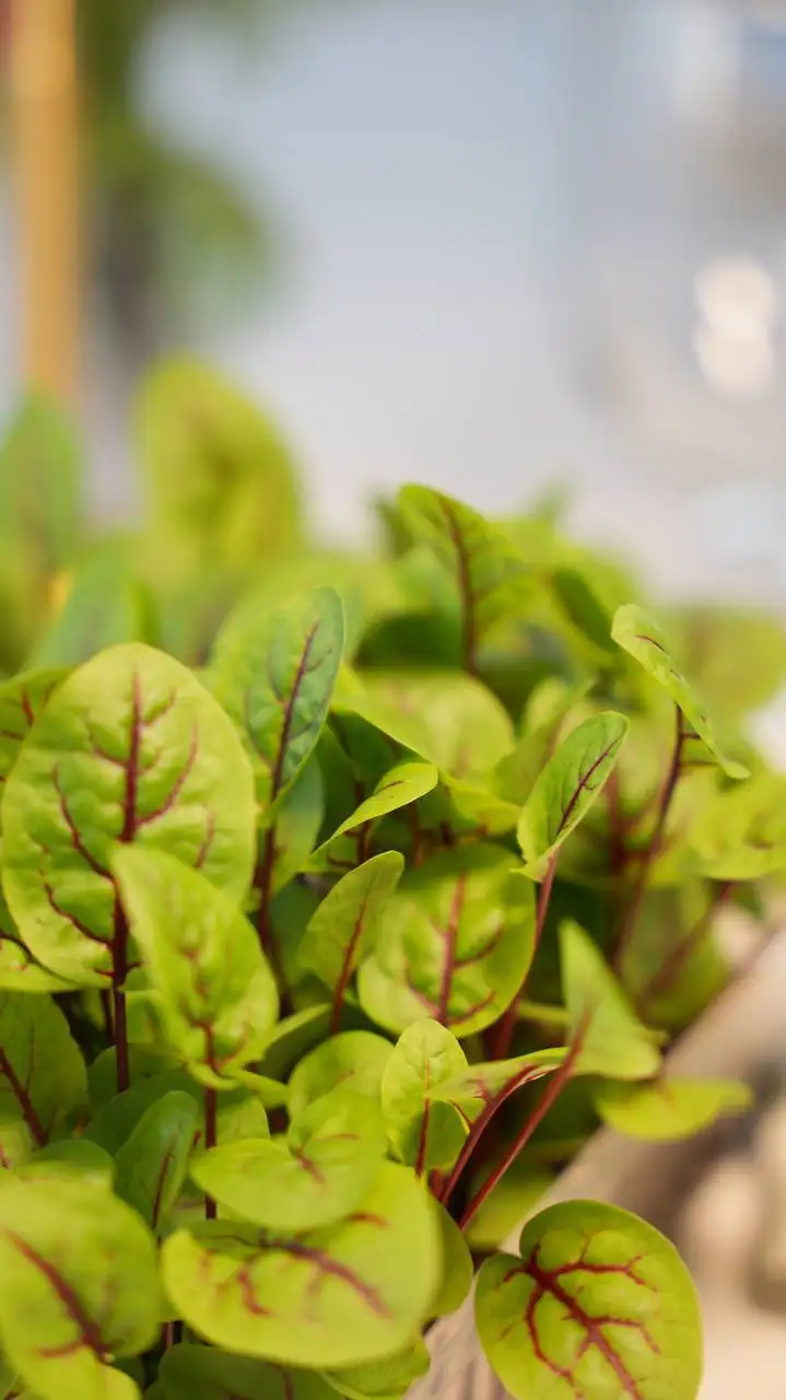 Бонус при заказе лотков в Оренбурге - Барахолка в Оренбург