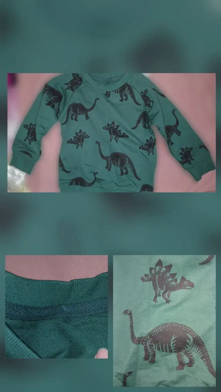 Стильный детский свитшот с принтом динозавров - Детская одежда (Одежда) в Оренбург