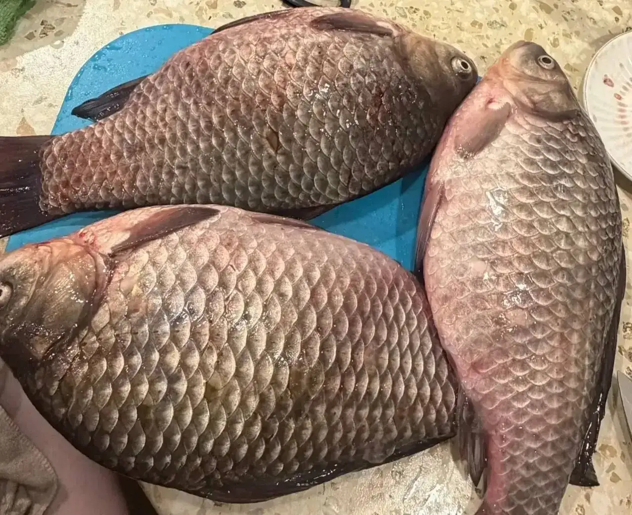 Свежая щука и карась с икрой - Продукты питания (Барахолка) в Оренбург