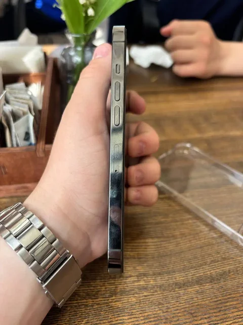 iPhone 13 Pro 256GB Black - Наушники в Оренбург