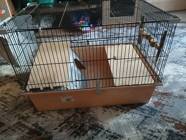 Клетка для шиншилл - частное объявление в Чита