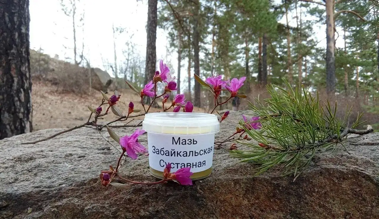 Мазь при кожных заболеваниях 120 мл - Лечебная косметика (Красота и здоровье) в Чита