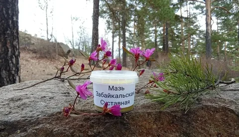 Мазь при кожных заболеваниях 120 мл - Косметика в Чита