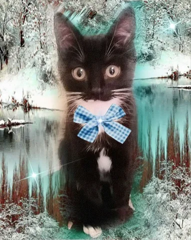 Котенок Сеня ищет дом - Находка/потеря в Чита