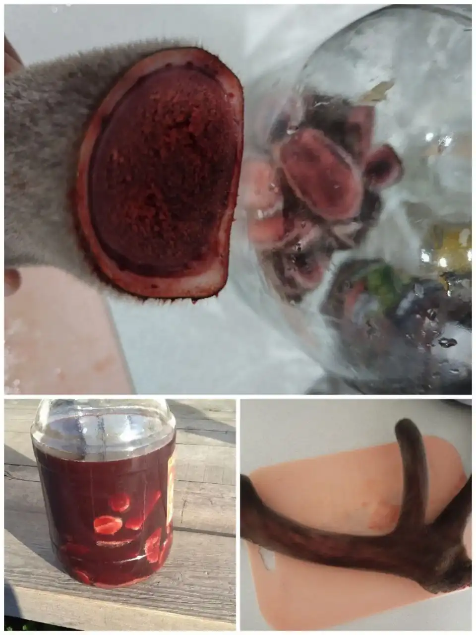 Настойка Пантов