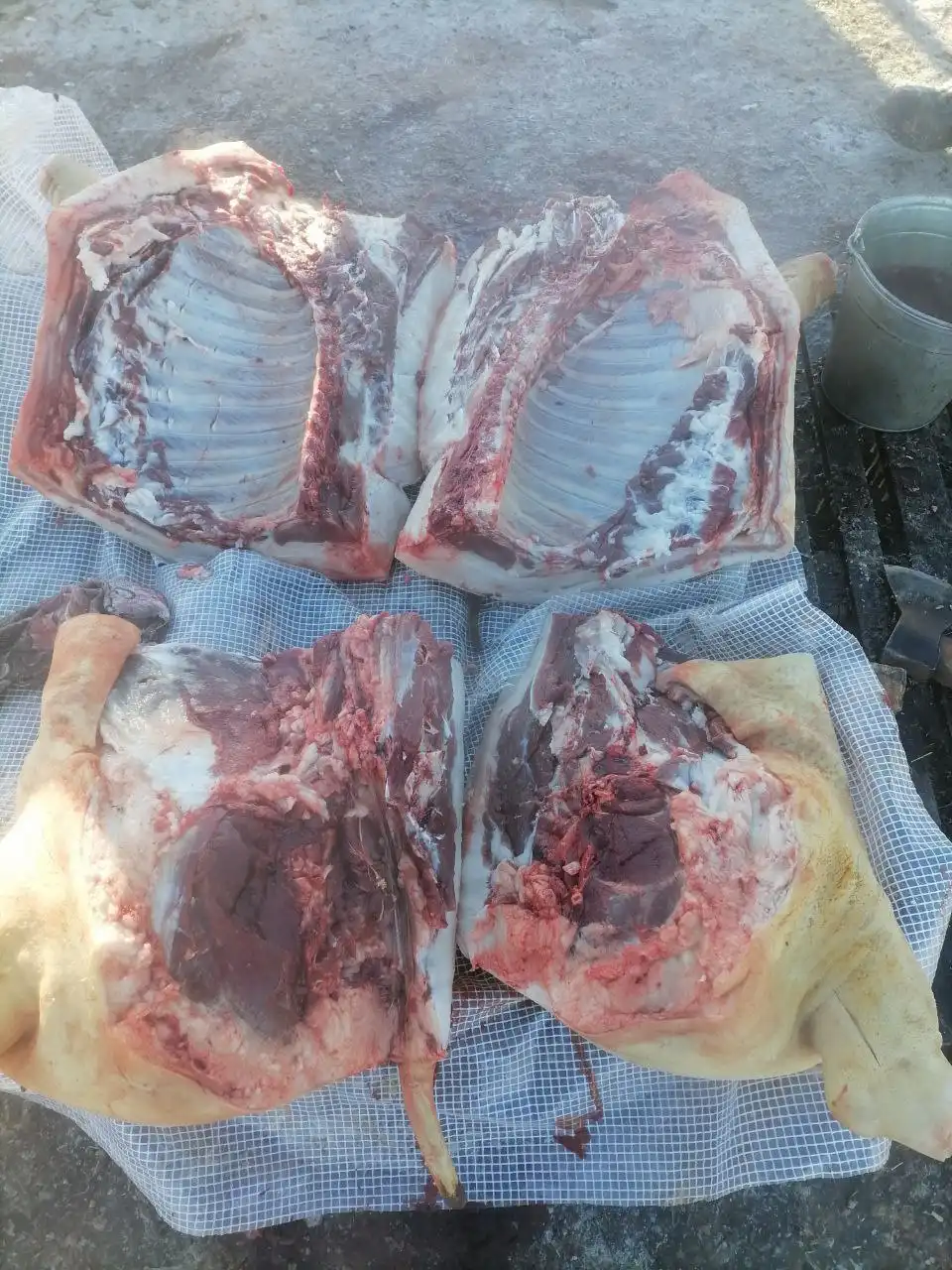 Продажа домашней свинины с забоя