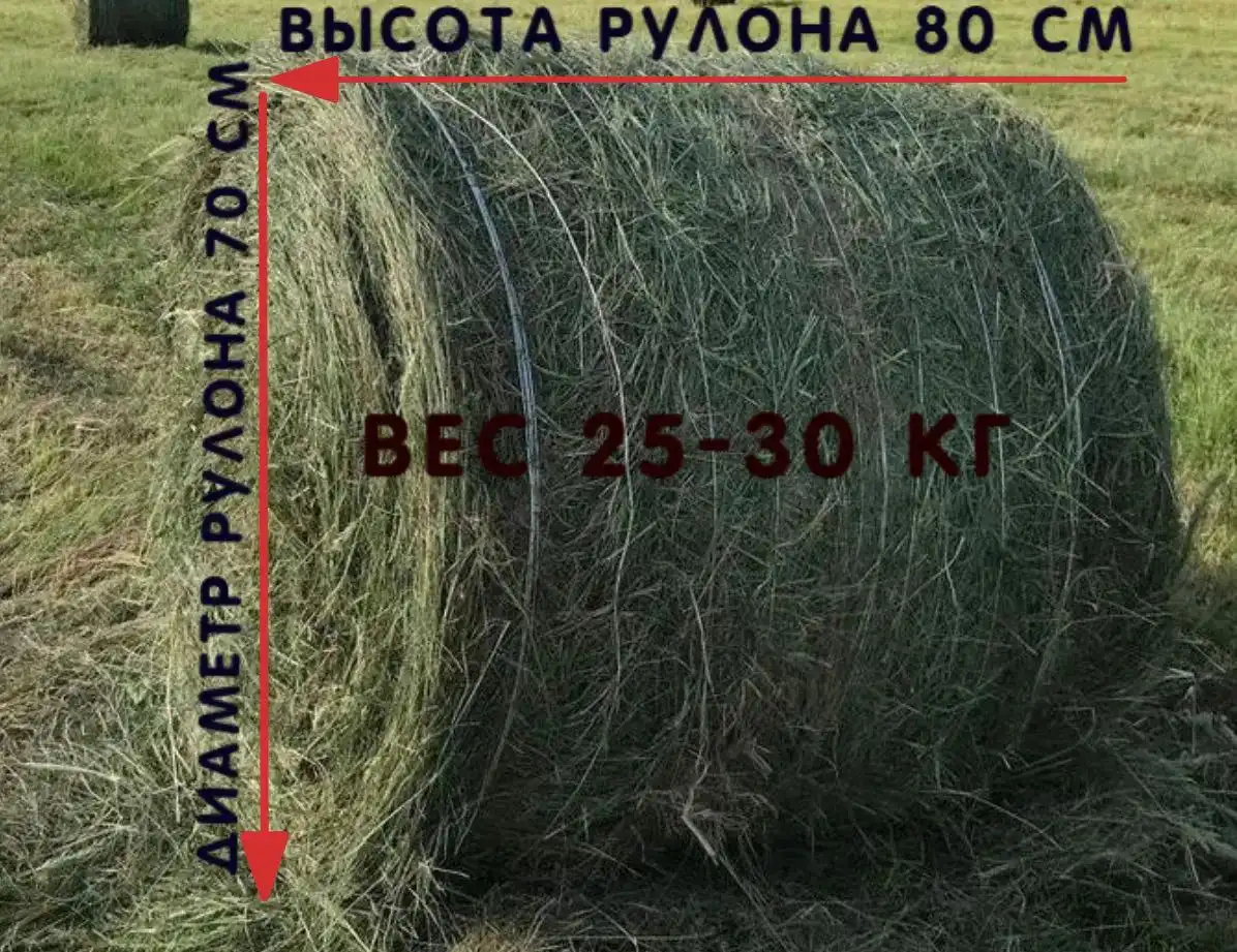 Продам сено в мини рулонах