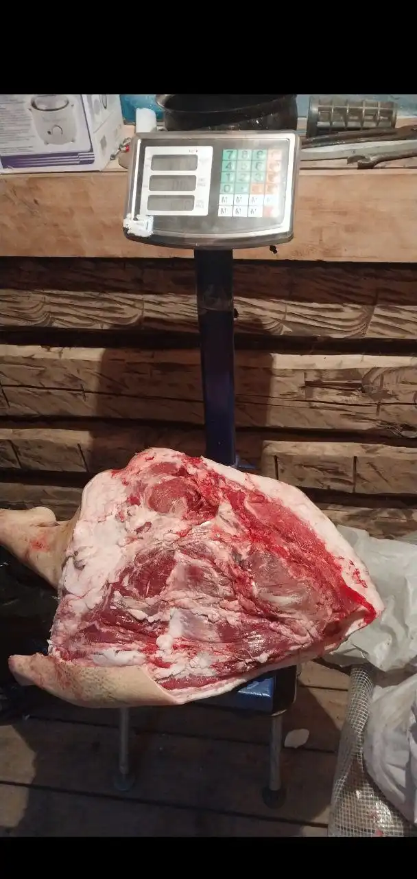 Продажа домашней свинины - Барахолка в Чита