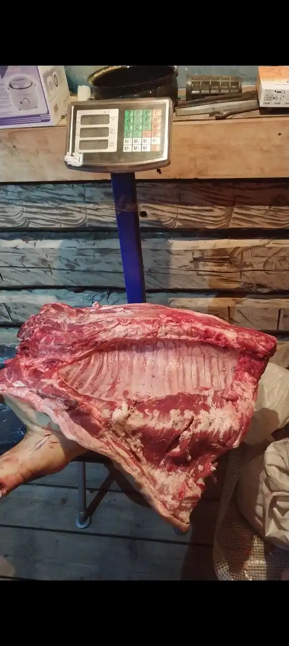 Продажа домашней свинины - Барахолка в Чита