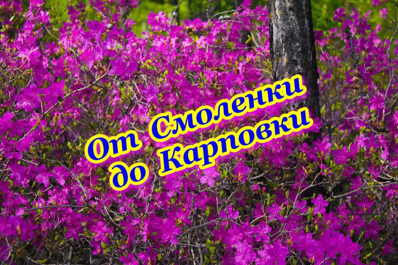 Барахолка Чита и Забайкальский край - Барахолка в Чита