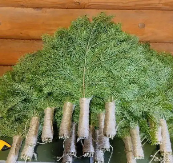 Продажа свежих ароматных пихтовых веников для бани - Банные принадлежности (Хобби и отдых) в Чита