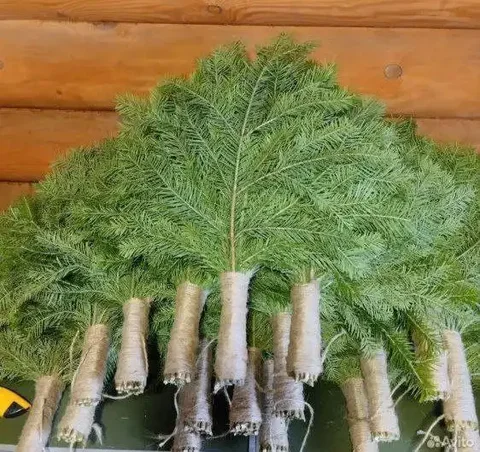 Продажа свежих ароматных пихтовых веников для бани - Розыгрыши/конкурсы в Чита