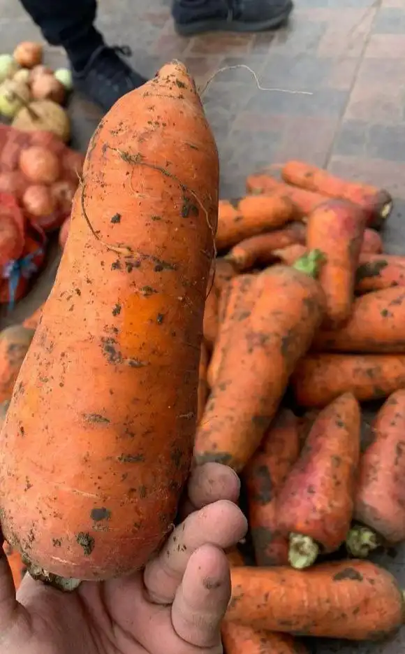 Продажа моркови - Продукты питания (Барахолка) в Чита