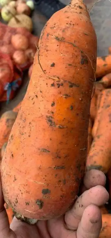 Морковь своя - Продукты питания (Барахолка) в Чита