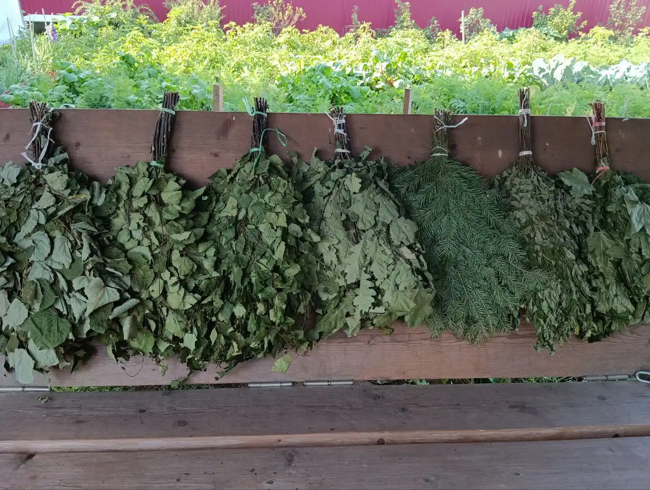 Веники для бани и травы в парилку