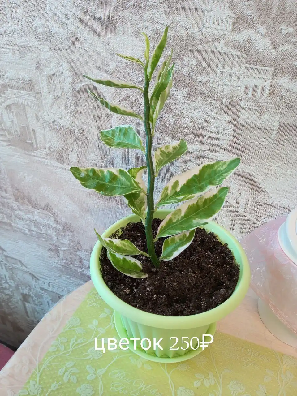 Продажа товаров и услуг в Нижнем Новгороде