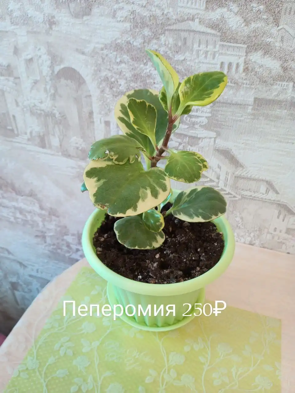 Продажа товаров и услуг в Нижнем Новгороде