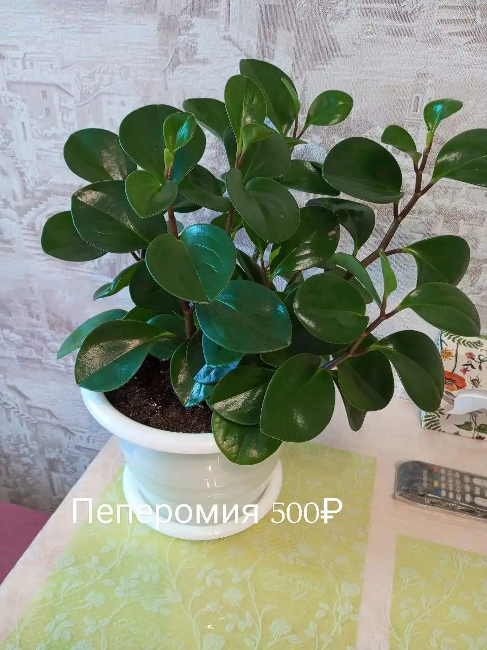 Продажа товаров и услуг в Нижнем Новгороде