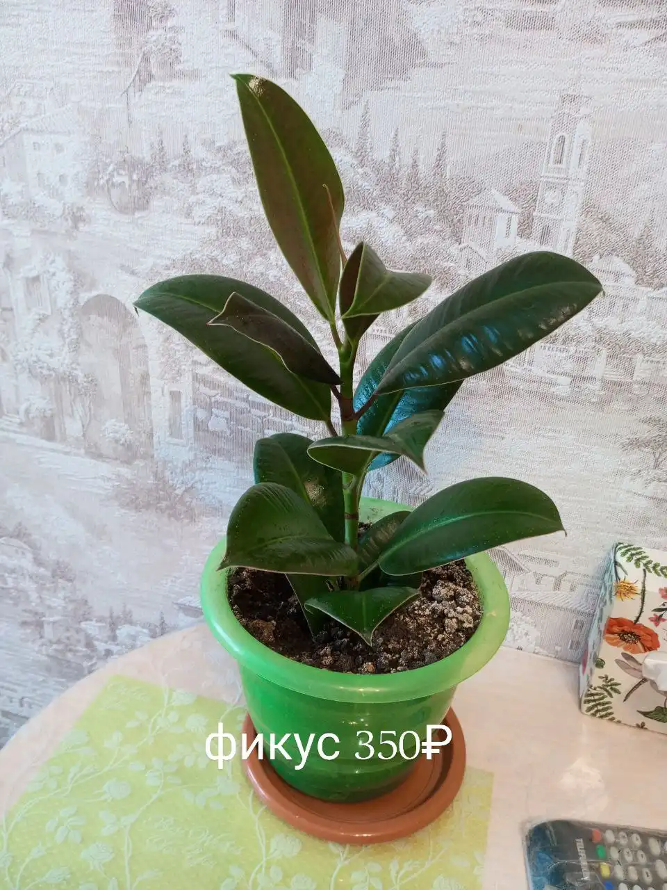 Продажа товаров и услуг в Нижнем Новгороде