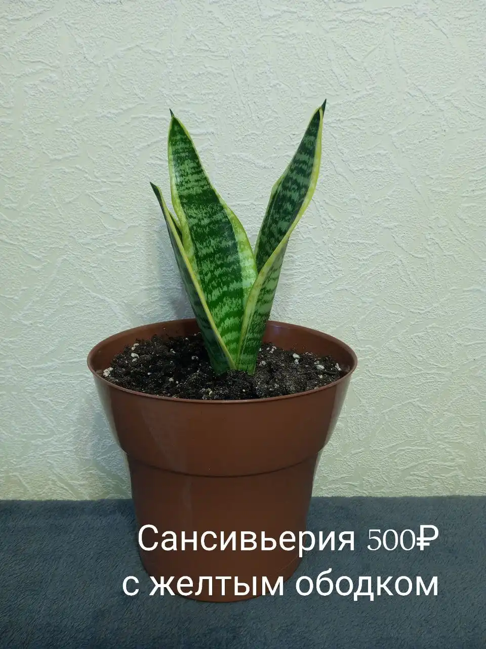 Продажа товаров и услуг в Нижнем Новгороде