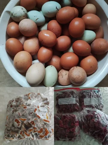 Продажа домашних яиц, малины и грибов в Нижнем Новгороде - Продукты питания в Нижний Новгород