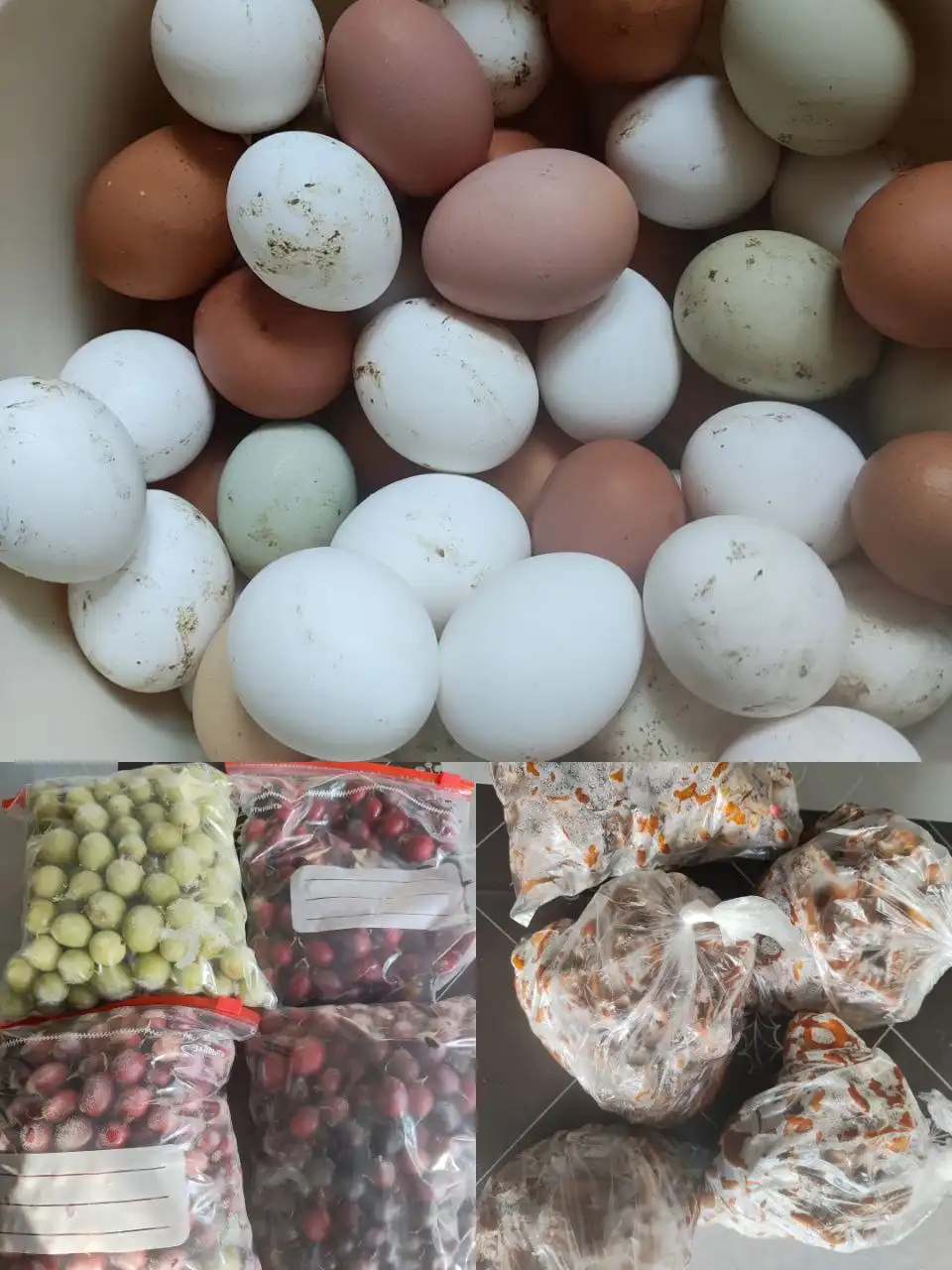 Продажа домашних яиц, крыжовника и лисичек в Никульском - Продукты питания (Барахолка) в Никульское