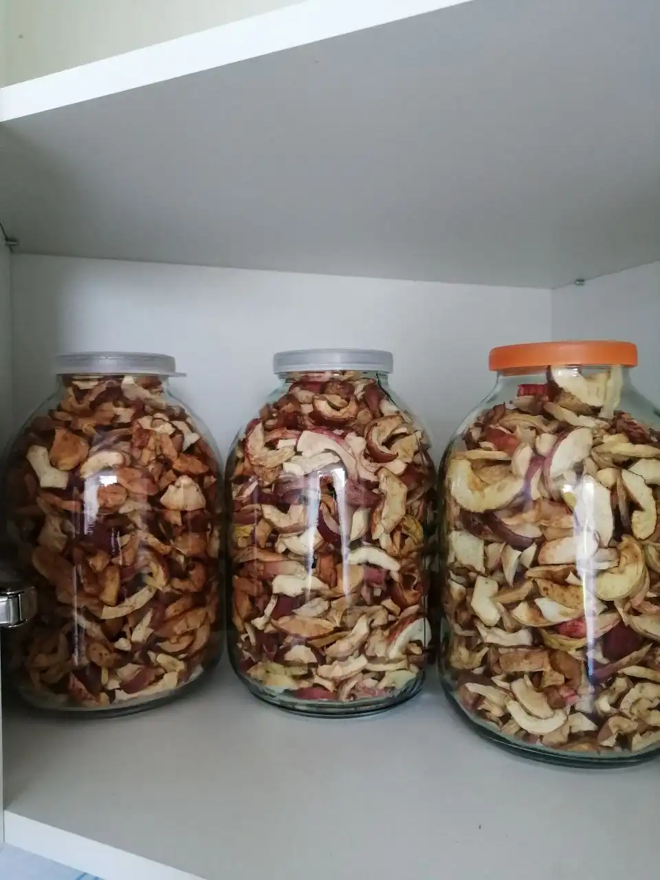 Смесь сушеных яблок из электрической сушилки - Продукты питания/Заготовки (Хобби и отдых) в Нижний Новгород