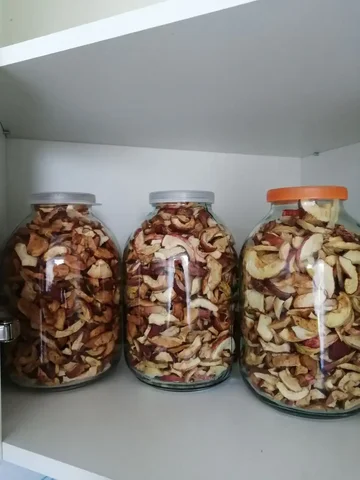 Смесь сушеных яблок из электрической сушилки - Хобби и отдых в Нижний Новгород