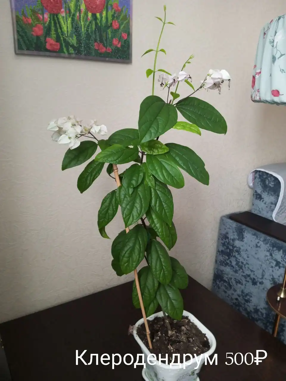 Продажа авто Доскино автозавод - Авто в Нижний Новгород