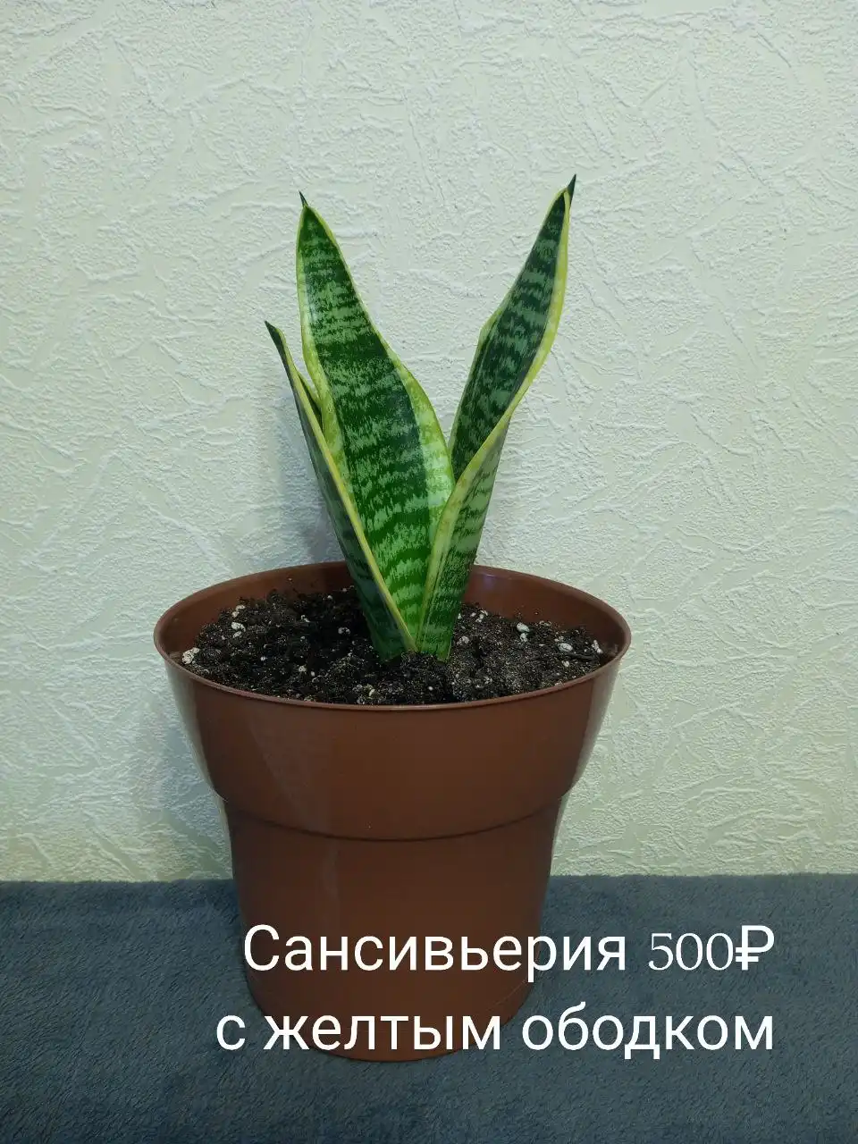 Продажа авто Доскино автозавод - Авто в Нижний Новгород