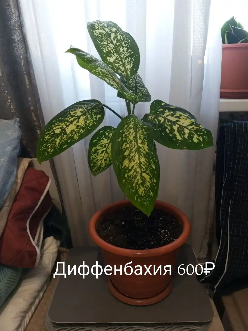 Продажа авто Доскино автозавод - Авто в Нижний Новгород