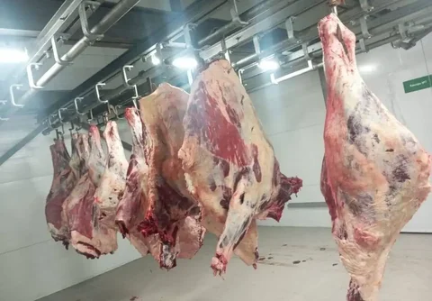 Говядина с частного хозяйства в Тюмени - Хобби и отдых в Тюмень