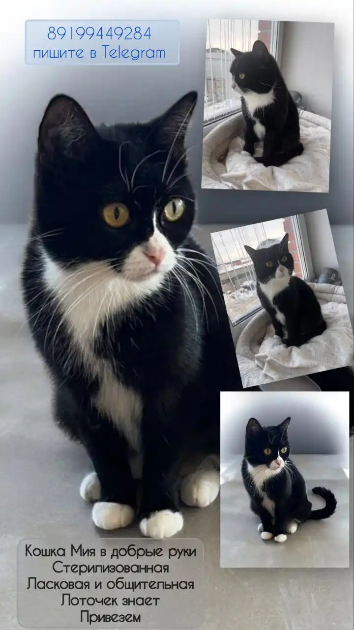 Объявления в Тюмени - Барахолка в Тюмень