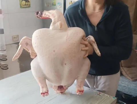 Продажа домашней птицы и мяса - Товары для животных в Тюмень