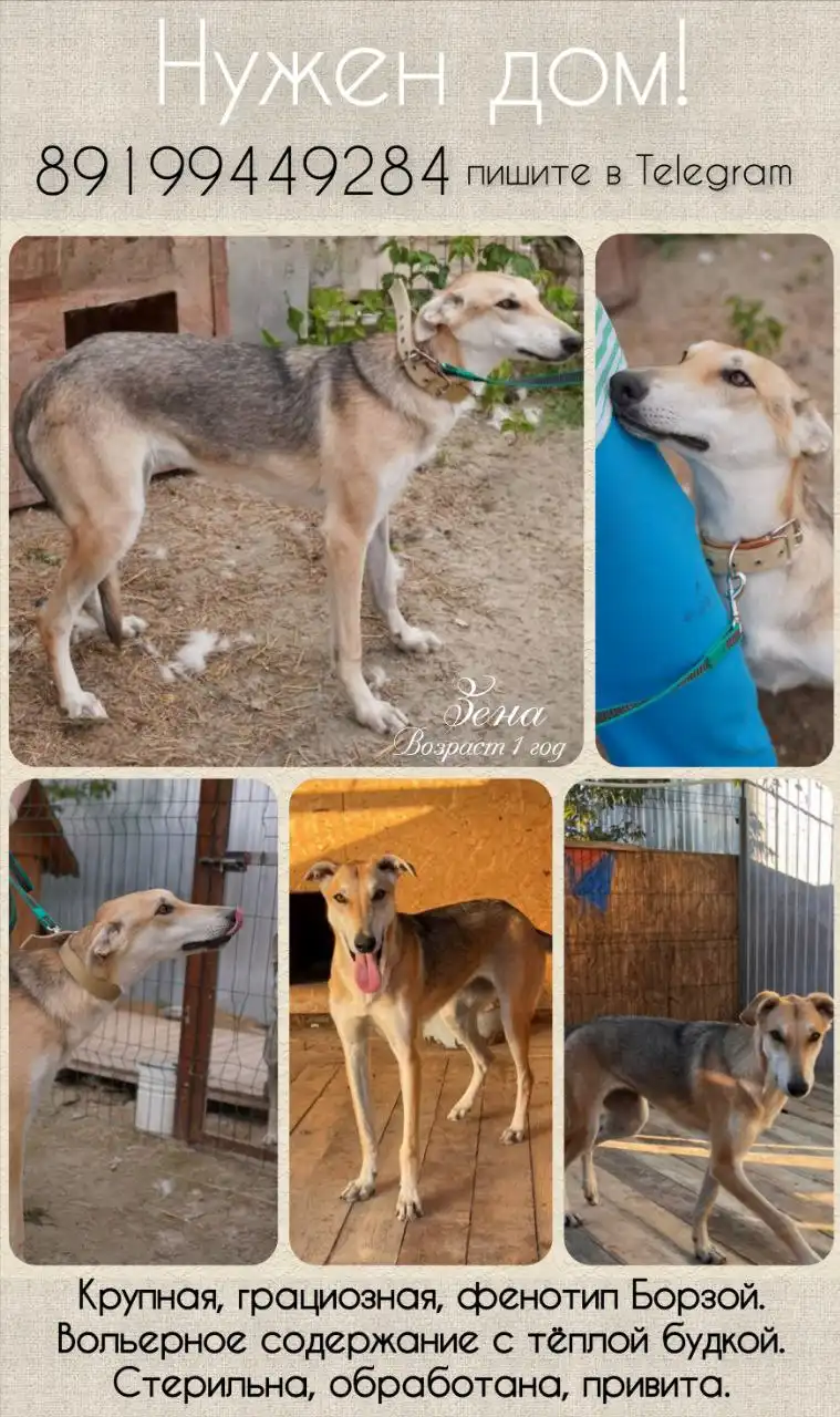 Объявление из Тюмени - Барахолка в Тюмень