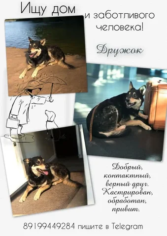 Телефон для связи - Сумки в Тюмень