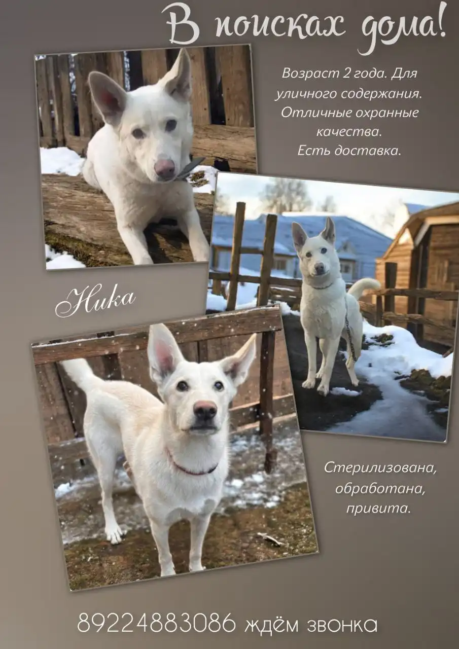 Объявления в Тюмени - Барахолка в Тюмень