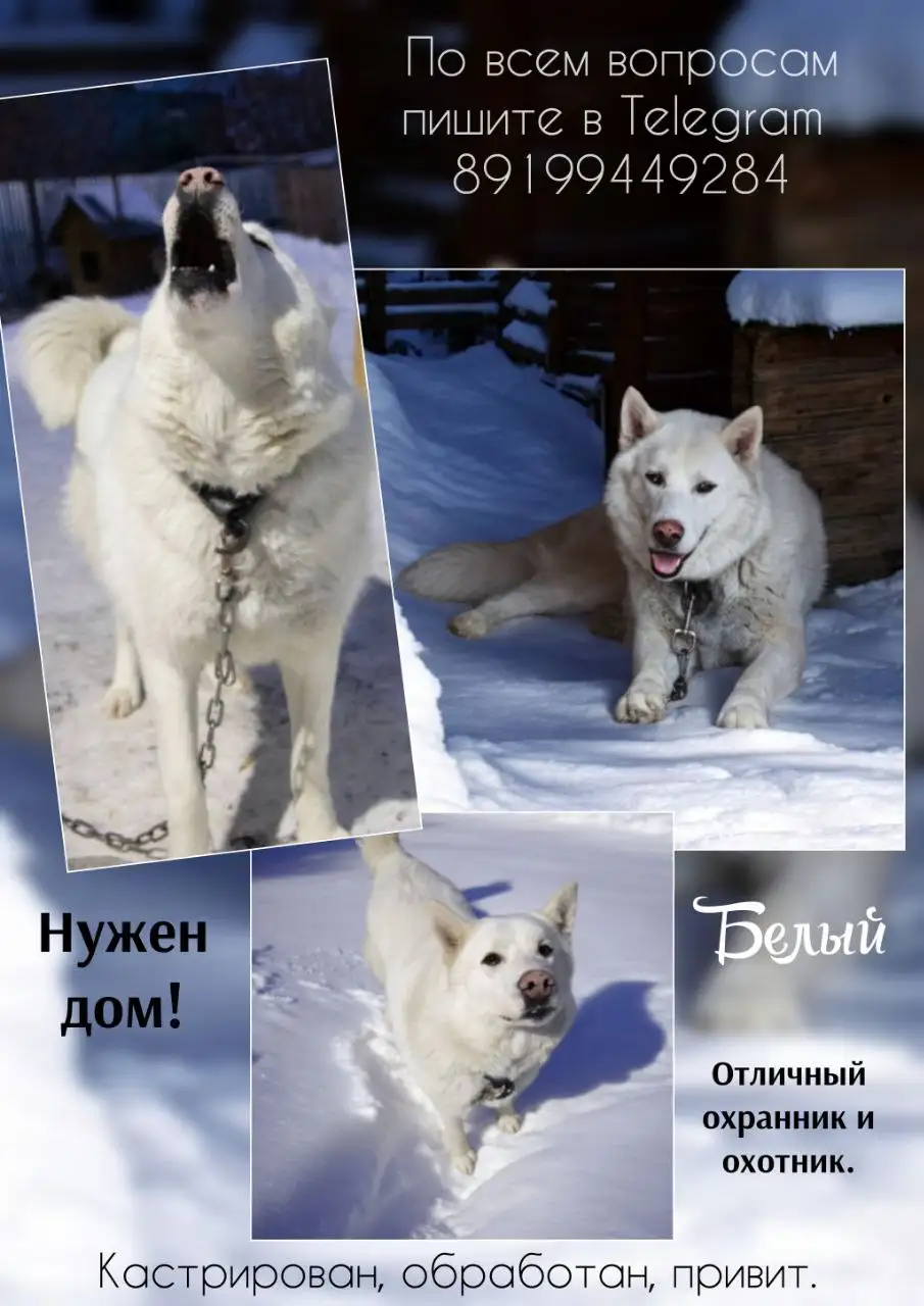 Продажа телефона - Телефоны (Электроника) в Тюмень