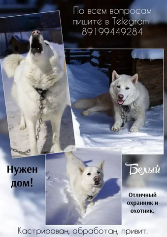 Продажа телефона - Телефоны в Тюмень