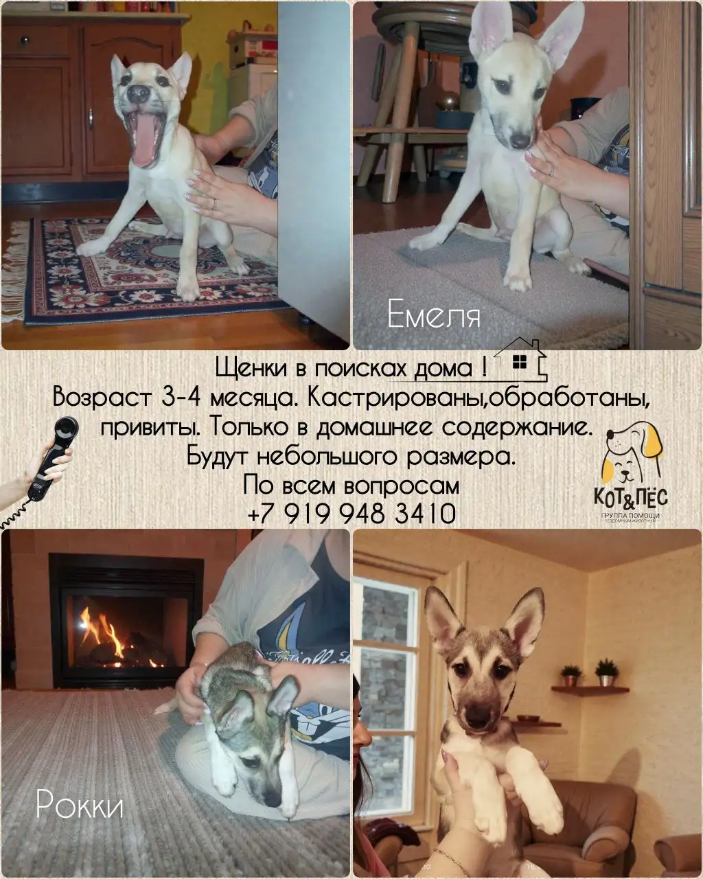 Емеля и Рокки - Барахолка в Тюмень