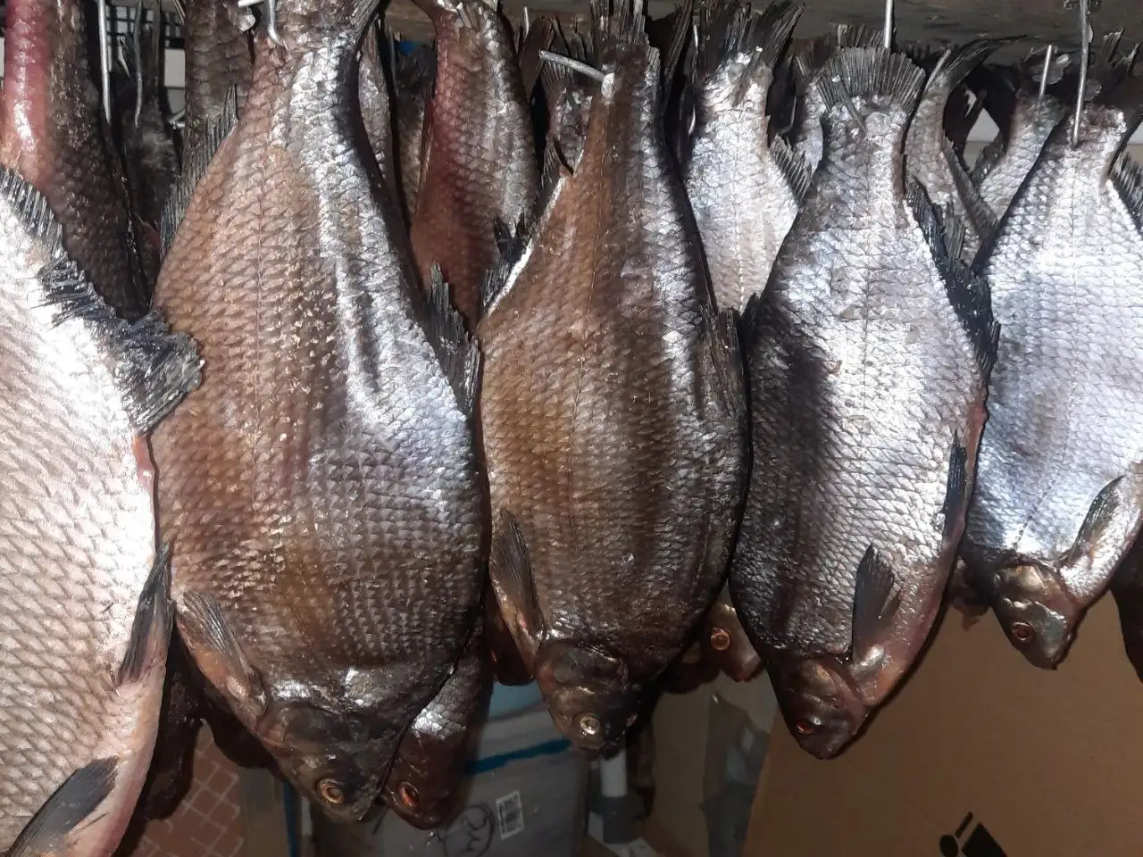 Лещ колодка с икрой - Барахолка в Тюмень