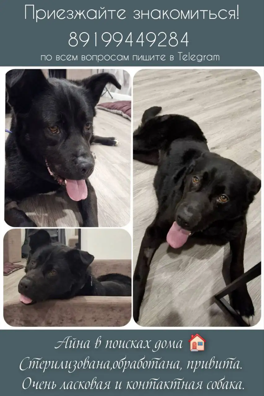 Объявление из Тюмени - Барахолка в Тюмень