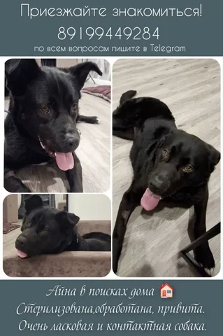 Объявление из Тюмени - Часы в Тюмень