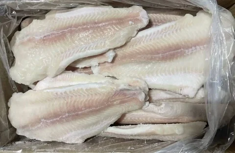 Филе пангасиуса свежего вылова - Разное в Тюмень