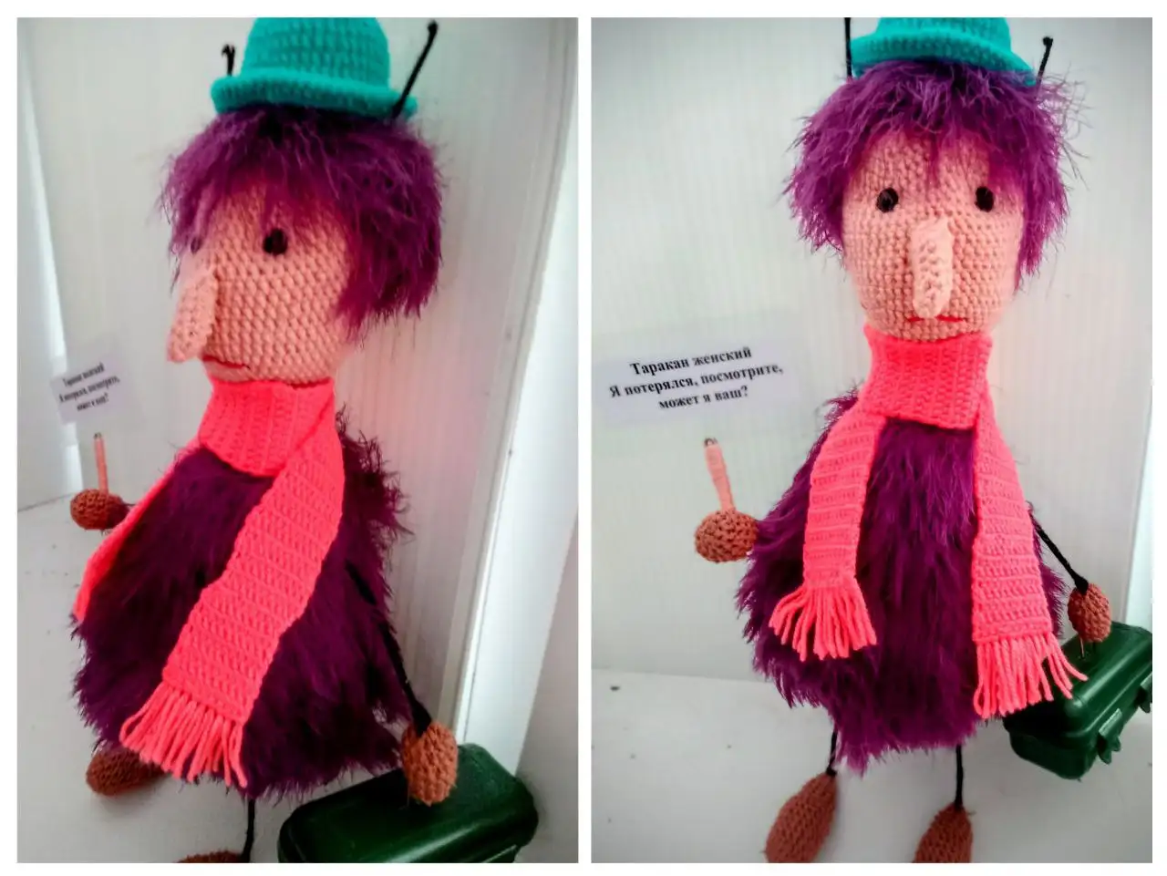 Поиск хозяйки для женского таракана - Животные в Тюмень