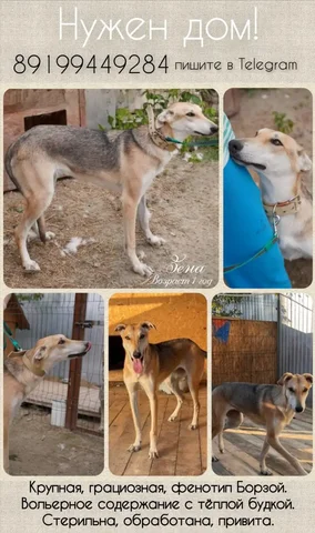 Объявления Тюмень - Мотоциклы в Тюмень