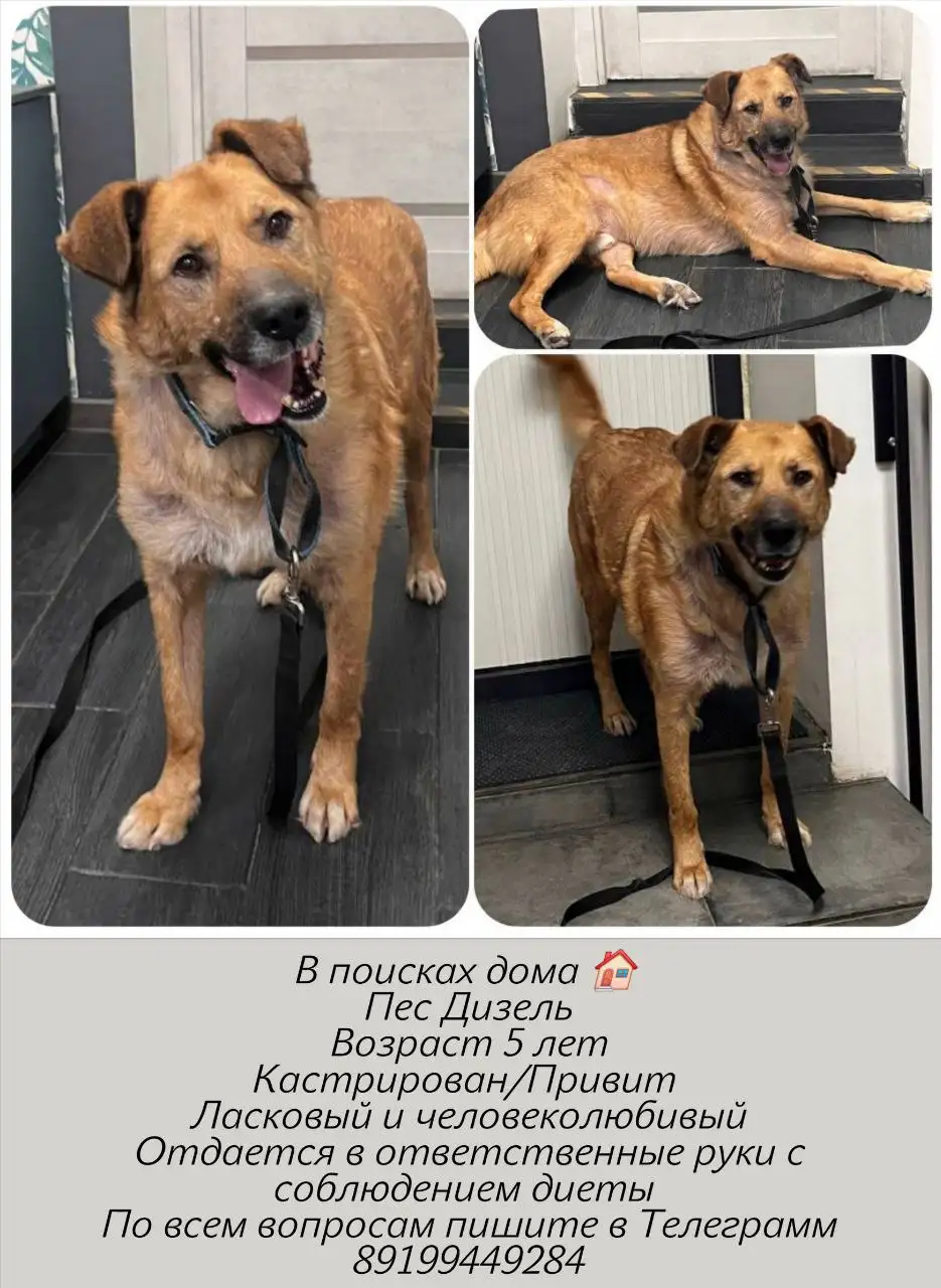 Продажа дизельного топлива - Горюче-смазочные материалы (Барахолка) в Тюмень